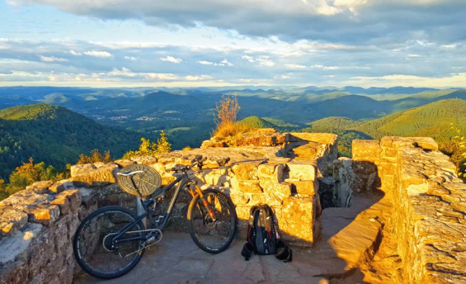 Mountainbiken Felsenland Dahn Pfalz