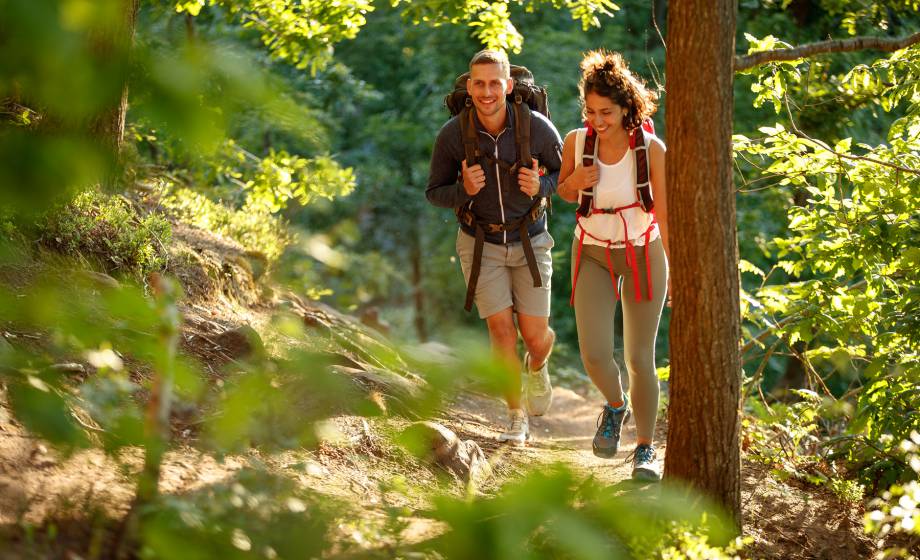 Aktiv im Felsenland: Abenteuer und Erholung vereint - Hotel Felsenland Dahn