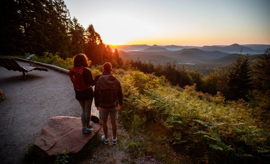 Aktiv in der Pfalz: Angebote für Wanderfreunde - Hotel Felsenland Dahn